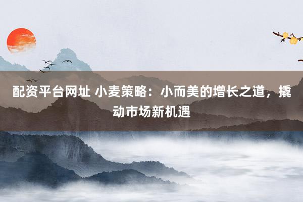 配资平台网址 小麦策略：小而美的增长之道，撬动市场新机遇