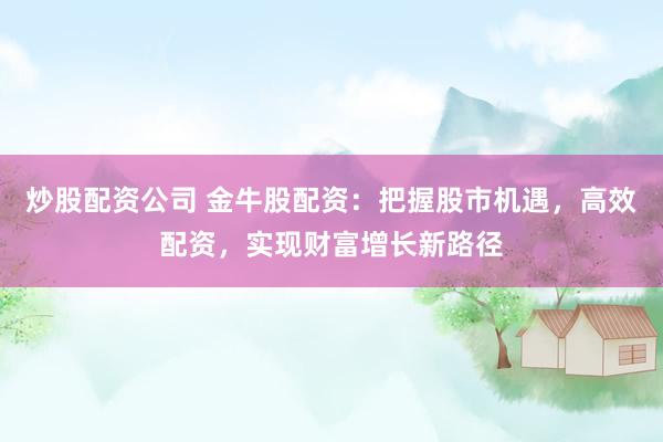 炒股配资公司 金牛股配资：把握股市机遇，高效配资，实现财富增长新路径