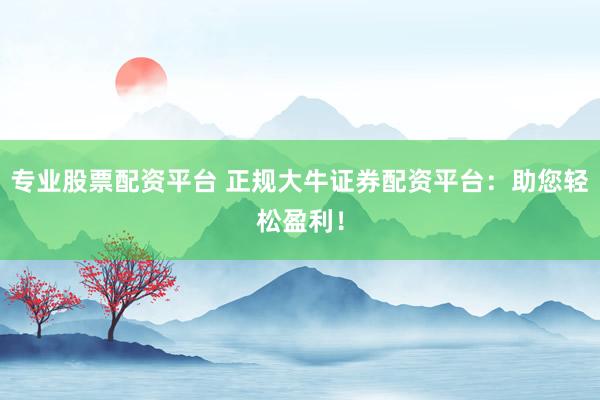 专业股票配资平台 正规大牛证券配资平台：助您轻松盈利！