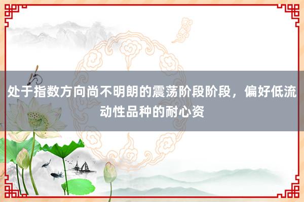处于指数方向尚不明朗的震荡阶段阶段，偏好低流动性品种的耐心资