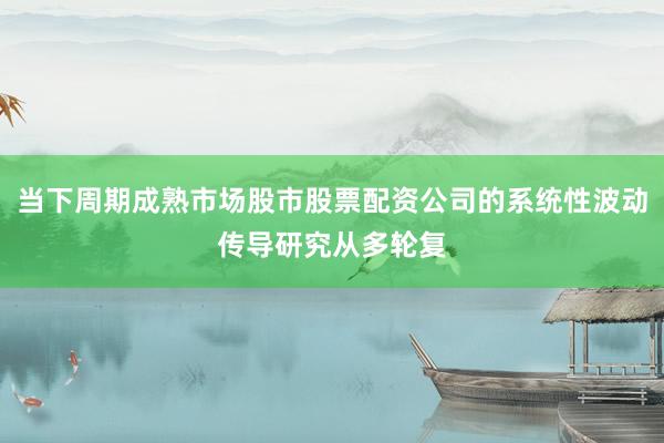 当下周期成熟市场股市股票配资公司的系统性波动传导研究从多轮复