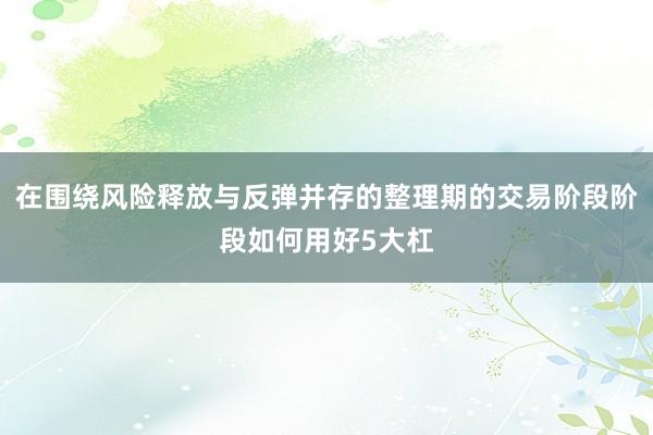 在围绕风险释放与反弹并存的整理期的交易阶段阶段如何用好5大杠
