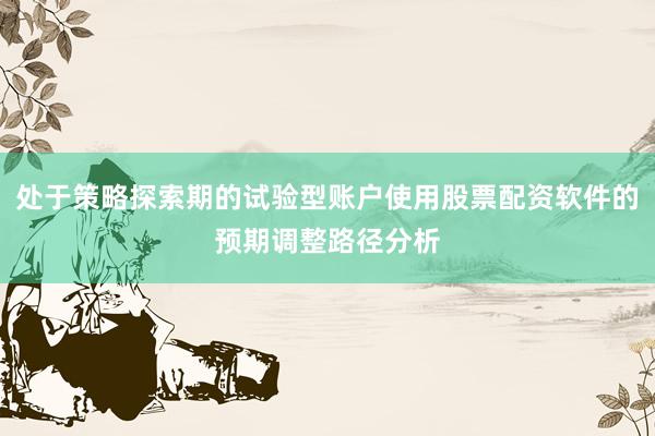 处于策略探索期的试验型账户使用股票配资软件的预期调整路径分析