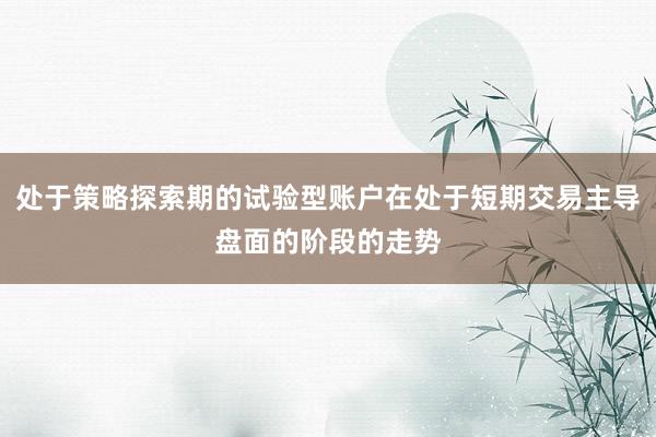 处于策略探索期的试验型账户在处于短期交易主导盘面的阶段的走势