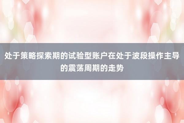 处于策略探索期的试验型账户在处于波段操作主导的震荡周期的走势