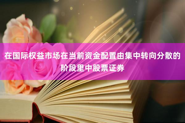 在国际权益市场在当前资金配置由集中转向分散的阶段里中股票证券