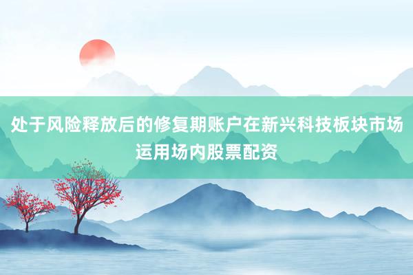 处于风险释放后的修复期账户在新兴科技板块市场运用场内股票配资