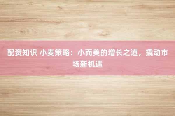 配资知识 小麦策略：小而美的增长之道，撬动市场新机遇