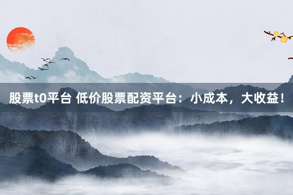 股票t0平台 低价股票配资平台：小成本，大收益！